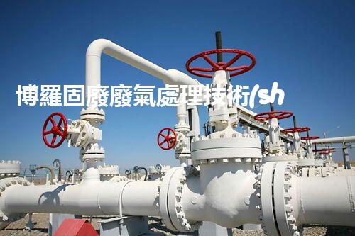 博羅固廢廢氣處理技術(shù)，到底有多厲害？